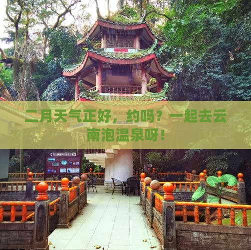二月去云南温泉五日游