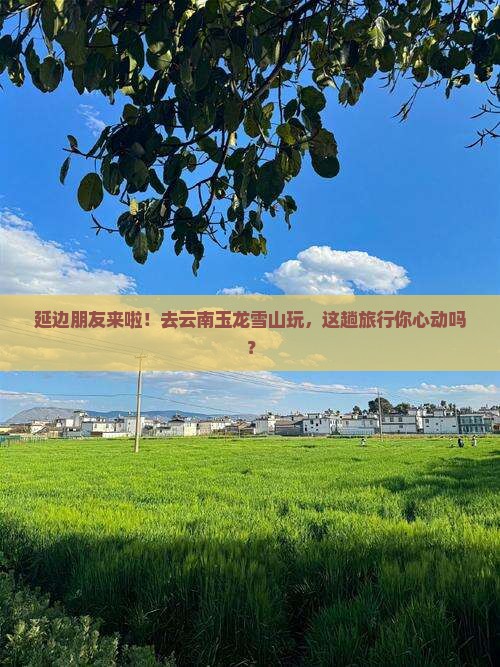 延边去云南玉龙雪山大型旅游团