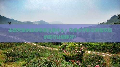 乌鲁木齐到云南西双版纳旅行社