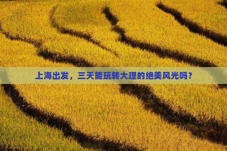 上海到云南大理三日游