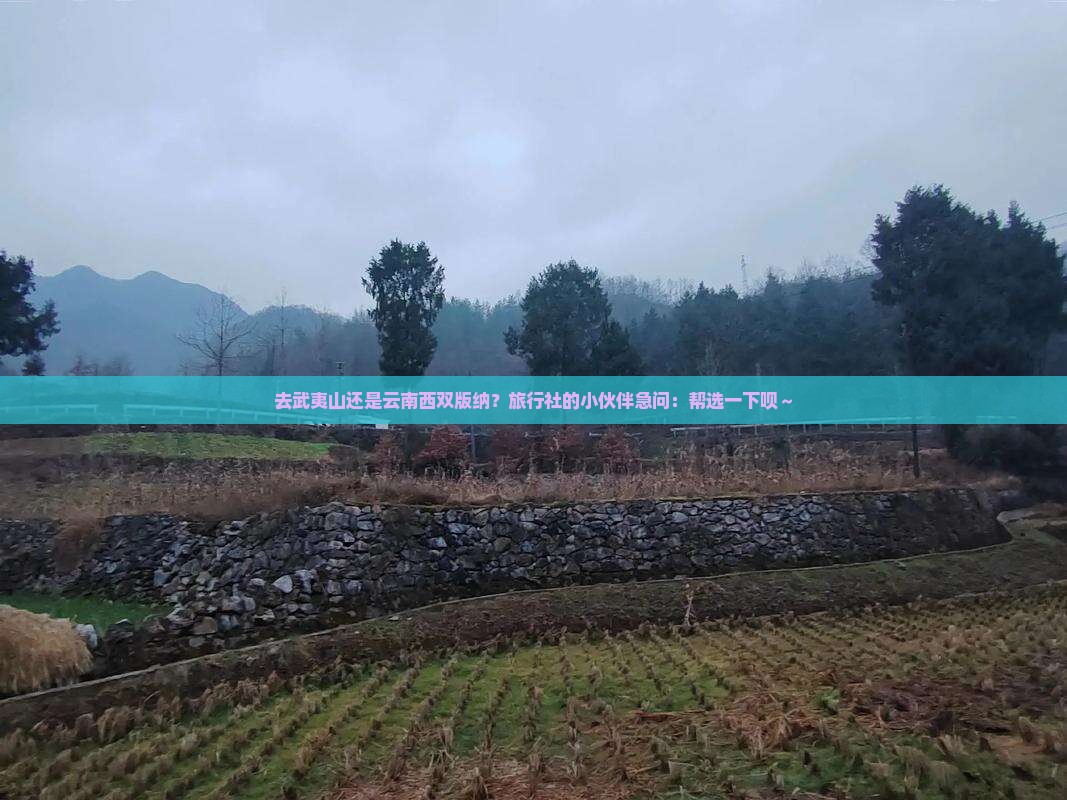 武夷山去云南西双版纳旅行社