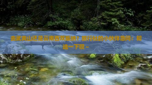 武夷山去云南西双版纳旅行社