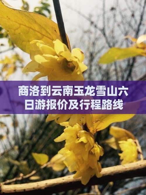 商洛到云南玉龙雪山六日游