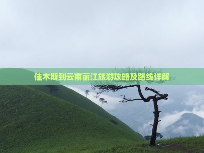 佳木斯到云南丽江攻略