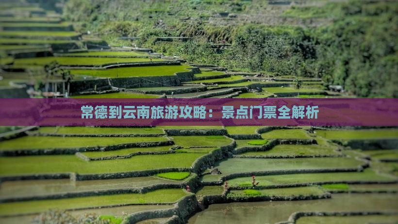 常德到云南古城门票