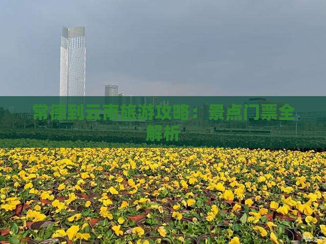 常德到云南古城门票