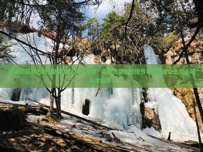 揭阳到云南古城自由团