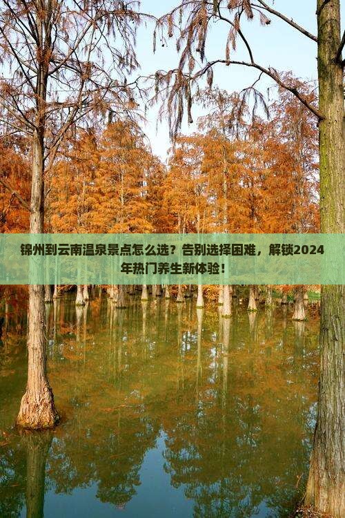 锦州到云南温泉景点
