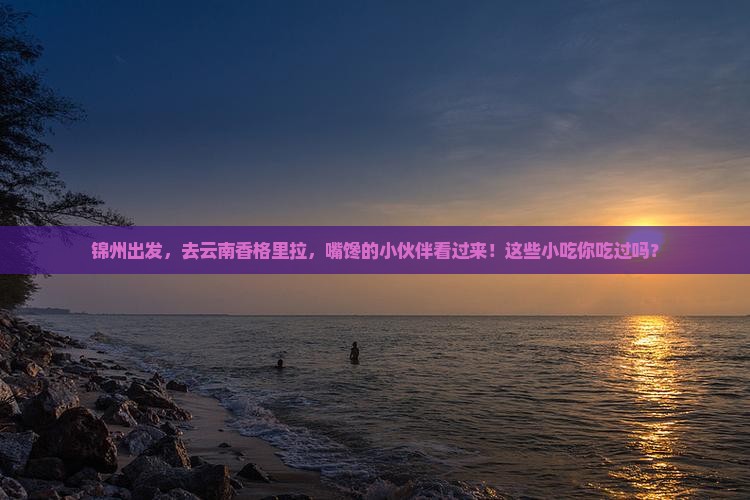 锦州去云南香格里拉旅游小吃