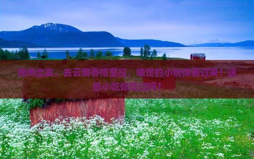 锦州去云南香格里拉旅游小吃