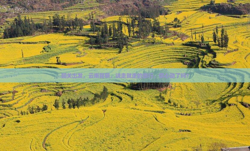 韶关去云南昆明旅游