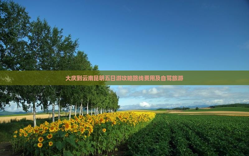 大庆到云南昆明五日游