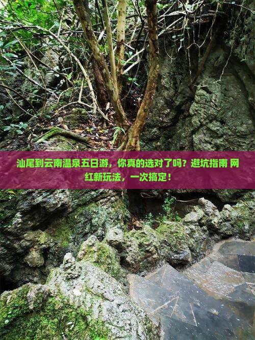 汕尾到云南温泉五日游