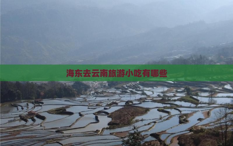 海东去云南旅游小吃