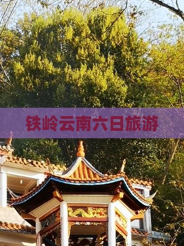 铁岭到云南六日游