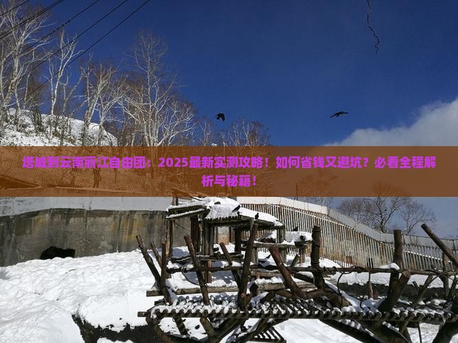塔城到云南丽江自由团