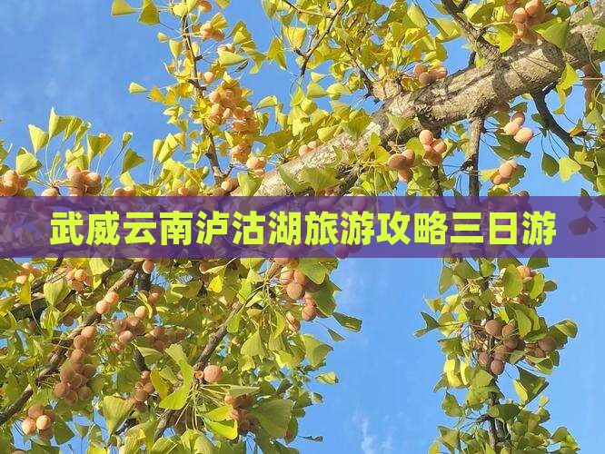 武威去云南泸沽湖三日游