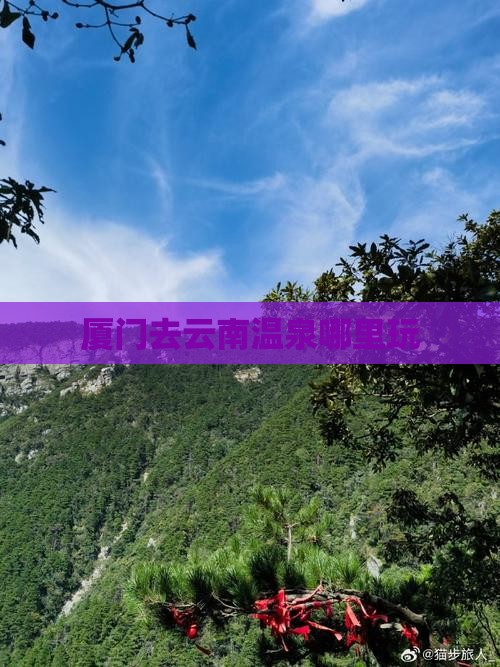 厦门去云南温泉哪里玩