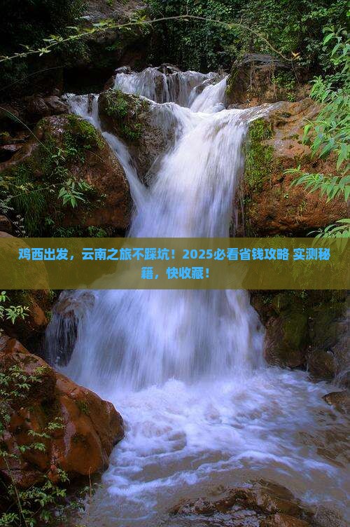 鸡西去云南旅行社