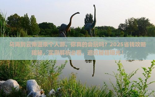乌海到云南温泉个人游
