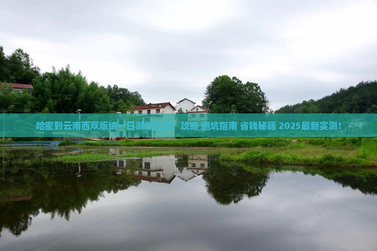 哈密到云南西双版纳一日