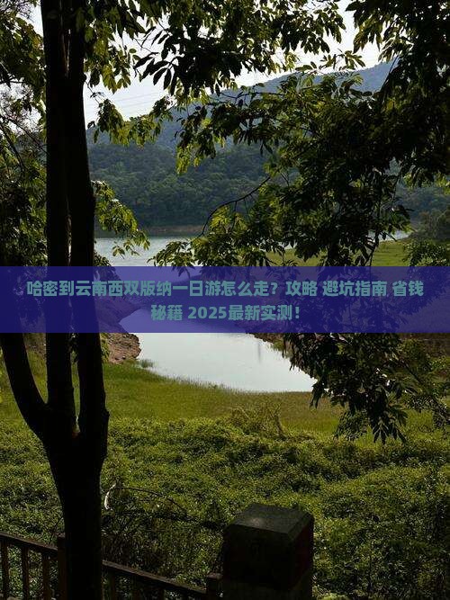 哈密到云南西双版纳一日