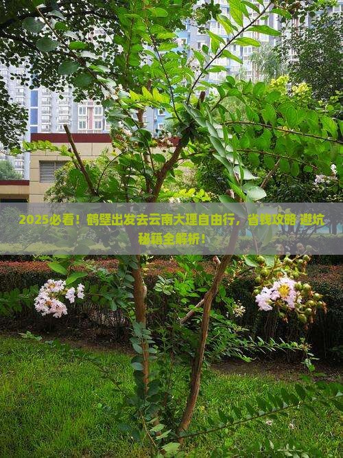 鹤壁到云南大理自由行 鹤壁到云南大理自由行