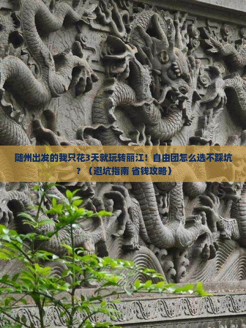 随州到云南丽江自由团