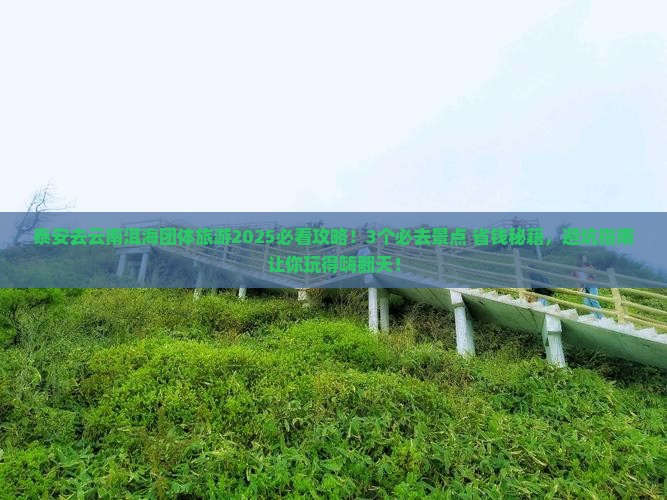 泰安去云南洱海团体旅游