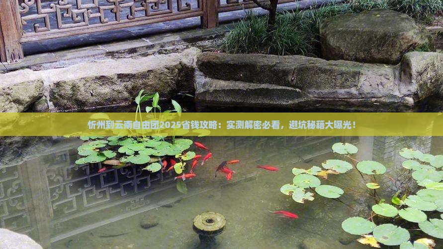 忻州到云南自由团 忻州到云南自由团