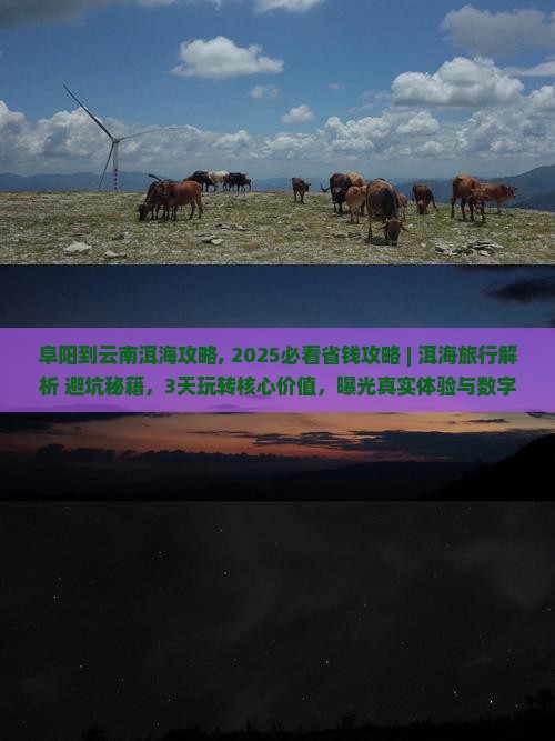 阜阳到云南洱海攻略