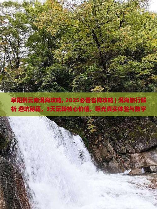 阜阳到云南洱海攻略