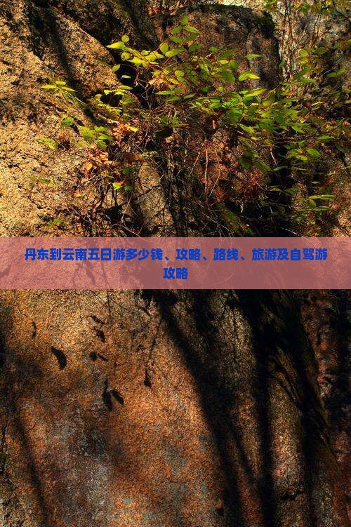 丹东到云南五日游
