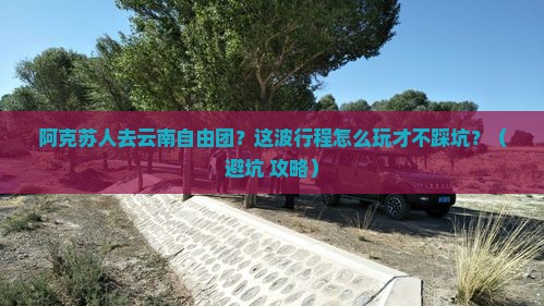 阿克苏去云南自由团