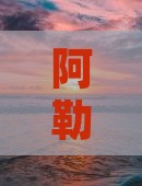 阿勒泰去云南西双版纳攻略