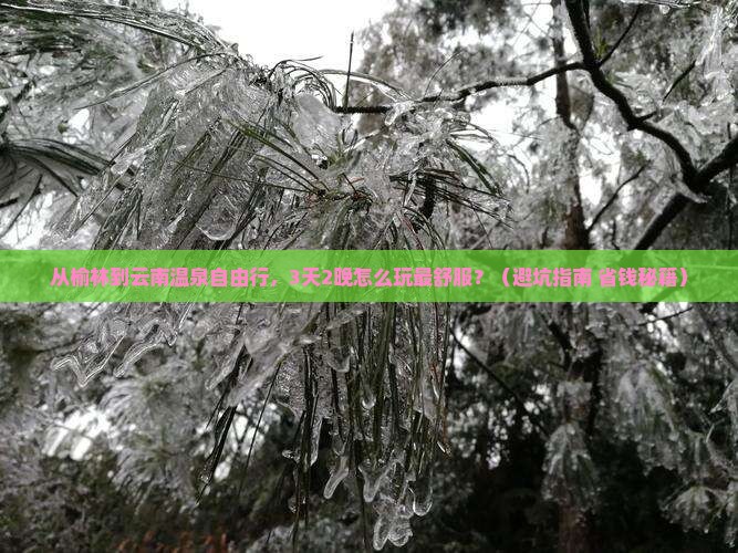 榆林到云南温泉自由行