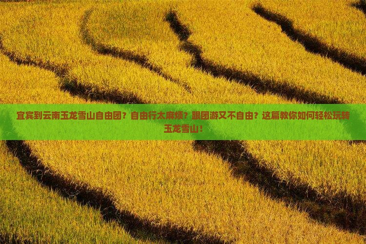 宜宾到云南玉龙雪山自由团