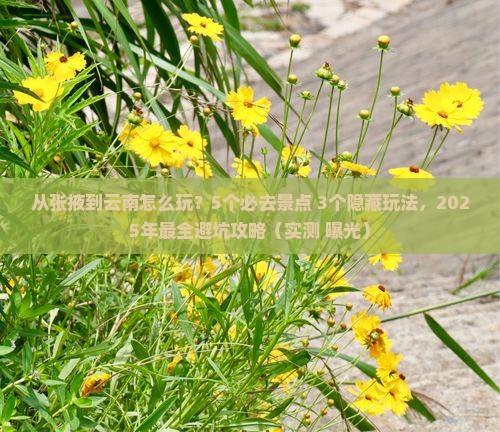 张掖去云南旅行社