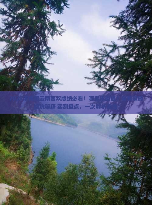 济南到云南西双版纳哪里玩