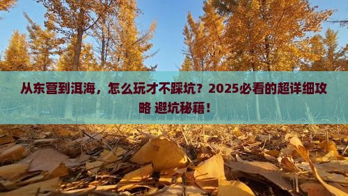 东营到云南洱海攻略