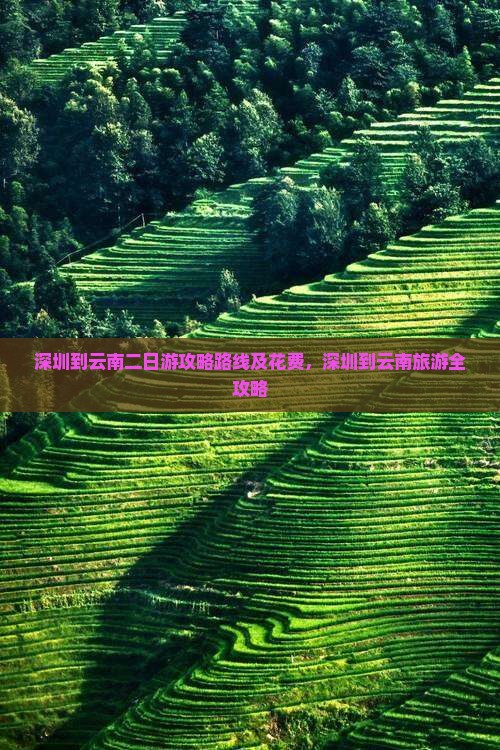 深圳到云南二日游