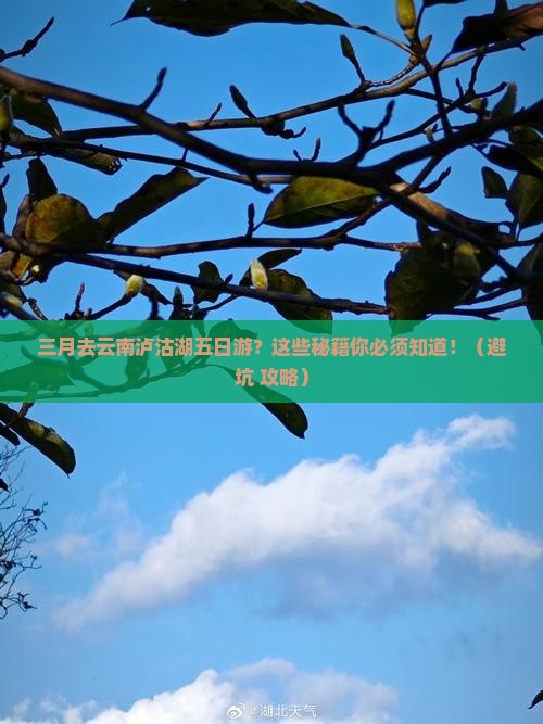 三月去云南泸沽湖五日游
