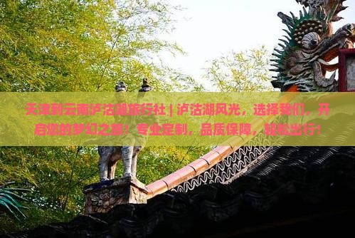 天津到云南泸沽湖旅行社