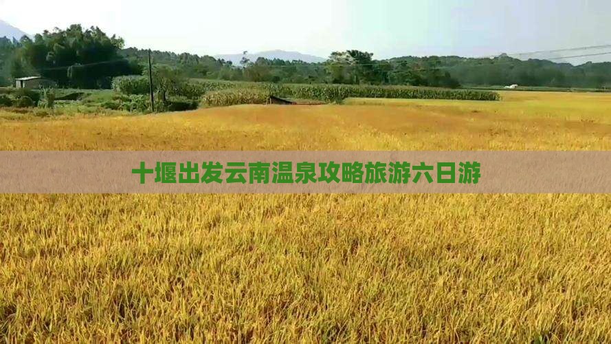 十堰到云南温泉六日游