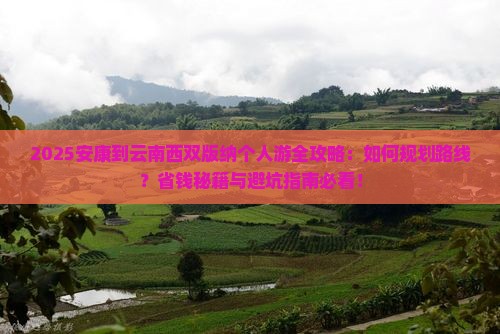 安康到云南西双版纳个人游