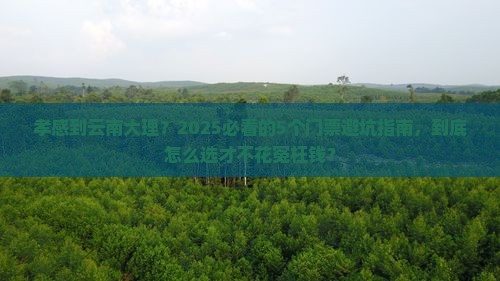 孝感到云南大理门票