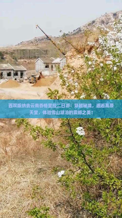 西双版纳去云南香格里拉二日游
