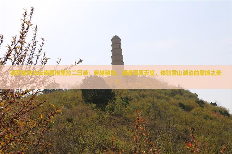 西双版纳去云南香格里拉二日游