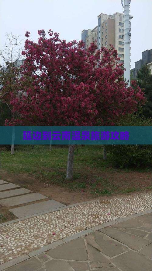 延边到云南温泉必去地