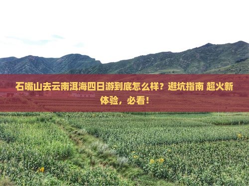 石嘴山去云南洱海四日游